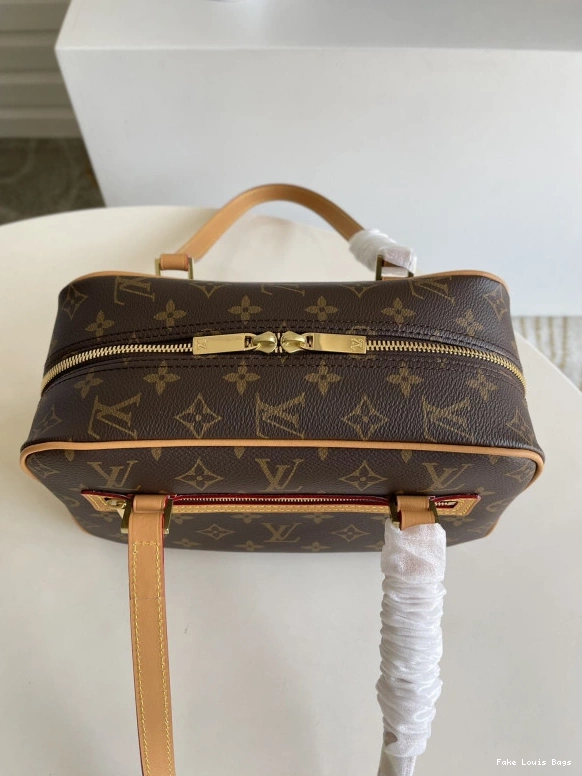 Fake Louis Bags CITE LOUIS VUITTON 0811